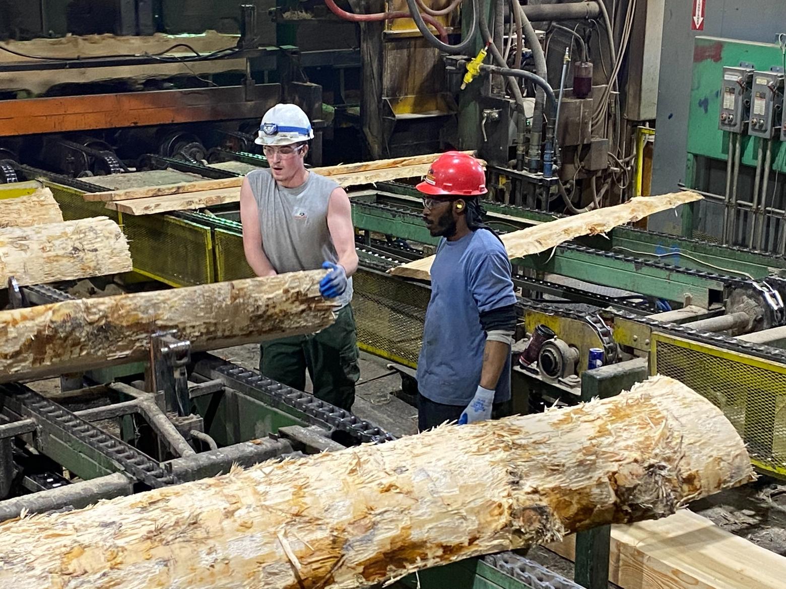 Workers at Sun Mountain Lumber, which purchased R-Y Timber in Livingston in 2023. Photo courtesy Sean Steinebach