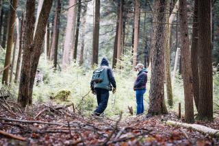 A forester and a Family Forest Carbon Program participant meet in a heavily wooded forest.