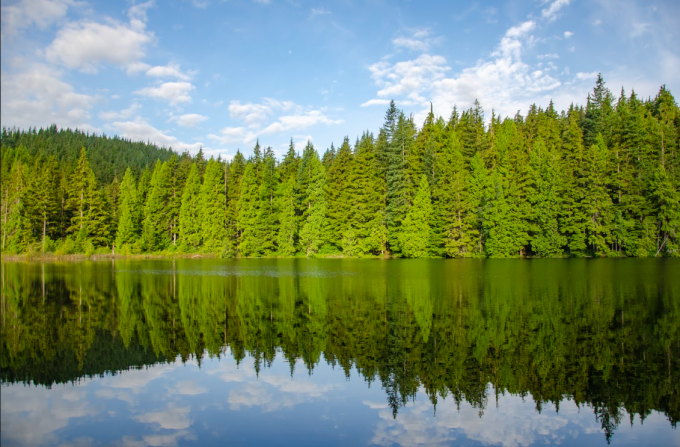 Certified sustainable forests with quality wood resources in British Columbia. Photo courtesy Canadian Wood