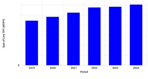 Bar chart of India's pulp and paper capacity from 2019 to 2024.