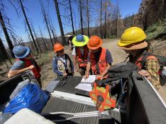 Natural Resource specialist crew gathering data at the forest