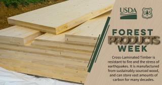 Graphic with cross-laminated timber panels in the left side frame, with text espousing the benefits of cross laminated timber in the right side frame - Cross-Laminated Timber is resistant to fire and the stress of earthquakes. It is manufactured from sustainably sourced wood, and can store vast amounts of carbon for many decades.